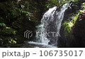 Waterfall of the main shrine (Hachioji castle ruins) 106735017