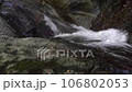 厚木市七澤的清流 106802053