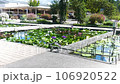 足利是花卉公園的睡蓮 106920522