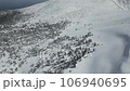 Aerial drone shot of the frost-covered forest at Zao Onsen Ski Resort 106940695