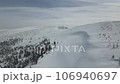 Aerial drone shot of the frost-covered forest at Zao Onsen Ski Resort 106940697