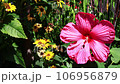 周圍環繞著鮮豔的花朵和大自然 106956879
