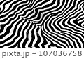 animation - Black and white psychedelic optical illusion. Abstract hypnotic animated background.  107036758