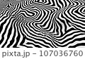 animation - Black and white psychedelic optical illusion. Abstract hypnotic animated background.  107036760