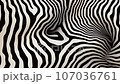 animation - Black and white psychedelic optical illusion. Abstract hypnotic animated background.  107036761