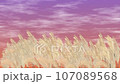 Animation video of pampas grass swaying in the sunset 107089568