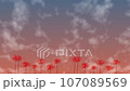Animation video of cluster amaryllis swaying in the sunset 107089569