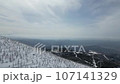 Aerial drone shot of the frost-covered forest at Zao Onsen Ski Resort 107141329