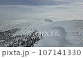 Aerial drone shot of the frost-covered forest at Zao Onsen Ski Resort 107141330