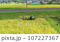 田野裡的水稻採摘 從空中看到的收穫季節的農業 農民無人機視頻素材 [日本千葉縣] 107227367