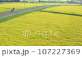 田野裡的水稻採摘 從空中看到的收穫季節的農業 農民無人機視頻素材 [日本千葉縣] 107227369