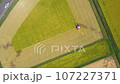 田間水稻收割 從空中看到的稻米收割機 農業農民無人機影片素材【日本千葉縣】 107227371