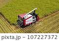 田間水稻收割 從空中看到的稻米收割機 農業農民無人機影片素材【日本千葉縣】 107227372