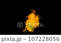 火焰動畫 火焰動畫 107228056