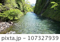 Drone aerial view of Kiyotsu Gorge (Japan's three major valleys) in summer, Niigata Prefecture, Japan 107327939