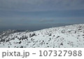 Aerial drone shot of the frost-covered forest at Zao Onsen Ski Resort 107327988