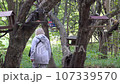 Woman walking in a forest park 107339570