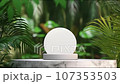 minimal podium display with plants for cosmetic product presentation, pedestal or platform background, with motion shadow of leaf. 107353503