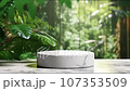 minimal podium display with plants for cosmetic product presentation, pedestal or platform background, with motion shadow of leaf. 107353509