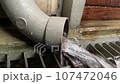 rainwater coming out forcefully 107472046