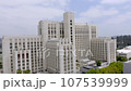 Imposing Gothic Hospital Aerial View 107539999