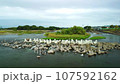 Aerial photography of wild birds in the middle reaches of the Sagami River using a drone 107592162