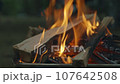 篝火 107642508