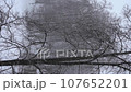 vertical snowfall in winter, white trees in snow in winter in bad cloudy weather 107652201