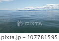夏 琵琶湖 湖畔 ドローン 撮影 05 107781595