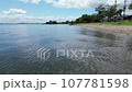 夏 琵琶湖 湖畔 ドローン 撮影 06 107781598