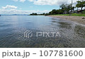 夏 琵琶湖 湖畔 ドローン 撮影 07 107781600