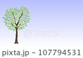 Video of a tree with swaying green leaves 107794531