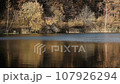Reflection in the lake of the autumn forest and jumping fish 107926294
