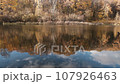 Swimming duck in a lake with reflection of blue sky and autumn foliage 107926463