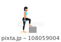 Dumbbell step up onto box exercise tutorial. Female workout on mat 108059004