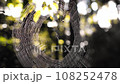 spider spinning thread 108252478
