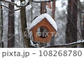 A tit and a nuthatch eat crackers from a feeder in winter in a snowy forest 108268780