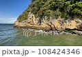 Ocean waves crashing on a wild coast 108424346