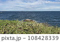 Ocean waves crashing on a wild coast 108428339