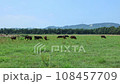 牧場の風景・和牛（FIXED） 108457709