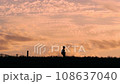 A person walking alone, blown by the wind in the pale light of dusk. 108637040