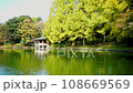 秋の栃木県中央公園　昭和大池 108669569