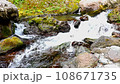 Mountain stream 108671735