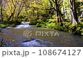 青森縣奧入瀨溪流和秋葉 108674127