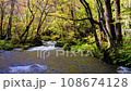 青森縣奧入瀨溪流和秋葉 108674128