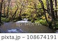 青森縣奧入瀨溪流和秋葉 108674191