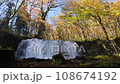 青森縣奧入瀨溪流的銫子大瀧瀑布和秋葉 108674192
