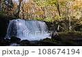 青森縣奧入瀨溪流的銫子大瀧瀑布和秋葉 108674194