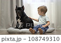 two-year-old boy sits on the floor and strokes his pet american bully 108749310