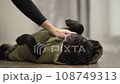 American bully lies on his back on the floor wearing a dog jacket. The owner pets a lying dog 108749313